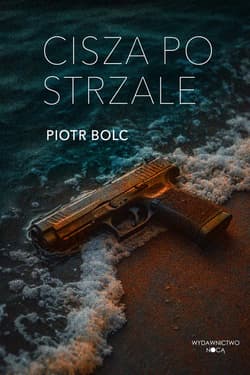 Cisza po strzale - ebook - Piotr Bolc