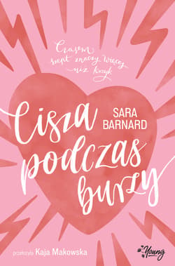 Cisza podczas burzy - ebook - Barnard Sara