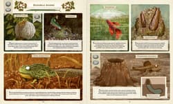 Galeria - zdjęcie nr. 3 - Co budują zwierzęta?