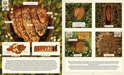 Galeria - zdjęcie nr. 5 - Co budują zwierzęta?