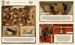 Galeria - zdjęcie nr. 2 - Co budują zwierzęta?