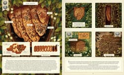 Galeria - zdjęcie nr. 2 - Co budują zwierzęta? wyd. 2025