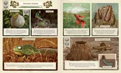 Galeria - zdjęcie nr. 4 - Co budują zwierzęta? wyd. 2025