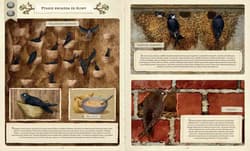 Galeria - zdjęcie nr. 5 - Co budują zwierzęta? wyd. 2025