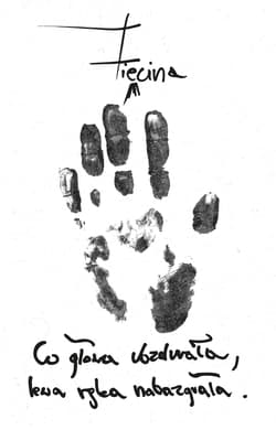 Co głowa ubzdurała, lewa ręka nabazgrała - null null, Zięcina