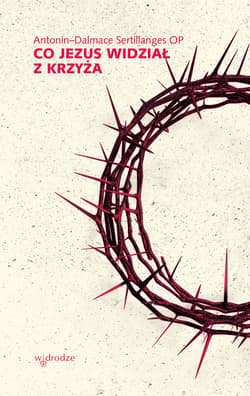 Co Jezus widział z krzyża - ebook - Antonin-Dalmace Sertillanges