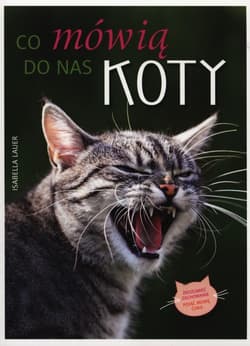 Co mówią do nas koty