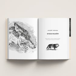 Galeria - zdjęcie nr. 5 - Co myślą i czują zwierzęta