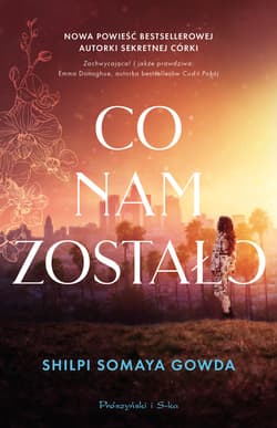 Co nam zostało - ebook - Shilpi Somaya Gowda