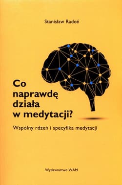 Co naprawdę działa w medytacji? Wspólny rdzeń i specyfika medytacji - Stanisław Radoń