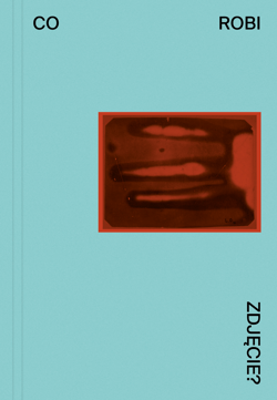 Co robi zdjęcie? - Opracowanie Zbiorowe