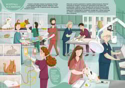 Galeria - zdjęcie nr. 3 - Co robią weterynarze i weterynarki. Ciekawe...