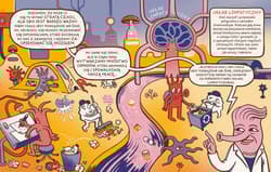 Galeria - zdjęcie nr. 2 - Co robimy gdy śpimy Akademia mądrego dziecka Chcę wiedzieć więcej