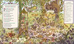 Galeria - zdjęcie nr. 4 - Co się dzieje w lesie