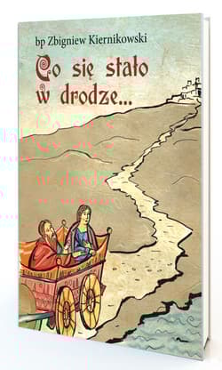 Co się stało w drodze - Zbigniew Kiernikowski