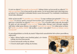 Galeria - zdjęcie nr. 4 - Co się za chwilę może stać? Ćwiczenia rozwijające myślenie przyczynowo-skutkowe