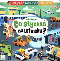 Co słychać na lotnisku? Oglądaj poznawaj zapamiętuj - Anna Podgórska