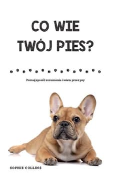 Co wie Twój pies Poznaj sposób rozumienia świata przez psy