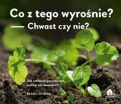 Co z tego wyrośnie? Chwast czy nie? Jak odróżnić pożyteczne rośliny od chwastów? - Bärbel Oftring