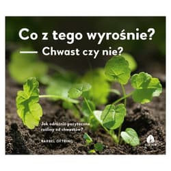 Co z tego wyrośnie? Chwast czy nie? Jak odróżnić pożyteczne rośliny od chwastów? - Bärbel Oftring
