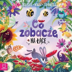 Co zobaczę na łące Oglądaj wskaż zapamiętaj - Sylwia Kajdana