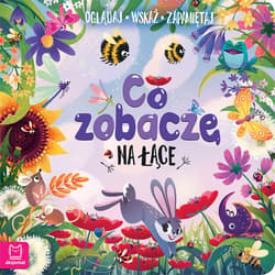 Co zobaczę na łące Oglądaj wskaż zapamiętaj - Sylwia Kajdana