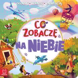 Co zobaczę na niebie Oglądaj, wskazuj, zapamiętuj - Sylwia Kajdana