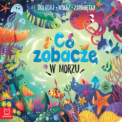 Co zobaczę w morzu Oglądaj wskaż zapamiętaj - Sylwia Kajdana