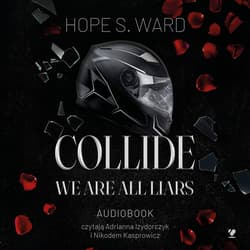 Collide. We Are All Liars - audiobook - Hope S. Ward