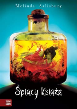 Córka zjadaczki grzechów. Tom 2. Śpiący Książę