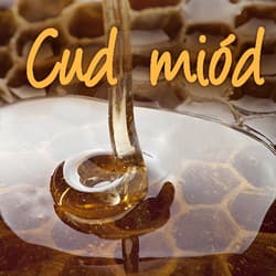 Cud miód - Mrowiec Justyna