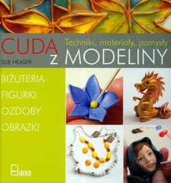 Cuda z modeliny Techniki, materiały, pomysły