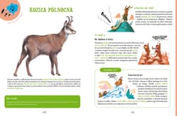 Galeria - zdjęcie nr. 2 - Cwane bestie. Zwierzęta, które szczypią, kłują, strzelają i wysysają krew