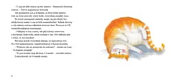 Galeria - zdjęcie nr. 4 - Cwaniak Kot z wyspy wikingów
