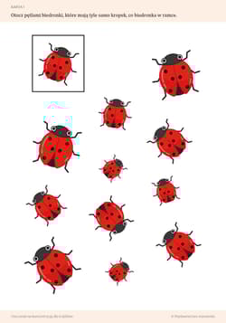 Galeria - zdjęcie nr. 5 - Ćwiczenia na koncentrację dla 6-latków