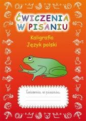 Ćwiczenia w pisaniu. Kaligrafia. Język polski - Beata Guzowska