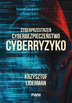Cyberprzestrzeń, cyberbezpieczeństwo, cyberryzyko - Liderman Krzysztof