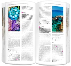 Galeria - zdjęcie nr. 5 - Cypr zestaw przewodnikowy 2w1 light 2025