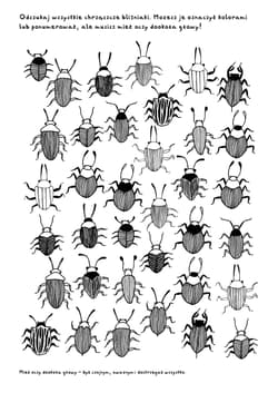 Galeria - zdjęcie nr. 3 - Cyrk na kółkach, czyli język polski na wesoło. Łamigłówki, labirynty, kolorowanki i inne zabawy edukacyjne