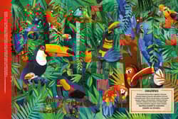 Galeria - zdjęcie nr. 5 - Czaple, kury i głuptaki, czyli o bogactwie ptasiego świata