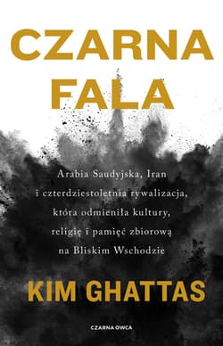 Czarna fala - ebook