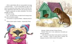 Galeria - zdjęcie nr. 2 - Czarna owieczka