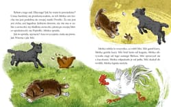 Galeria - zdjęcie nr. 4 - Czarna owieczka