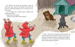 Galeria - zdjęcie nr. 5 - Czarna owieczka