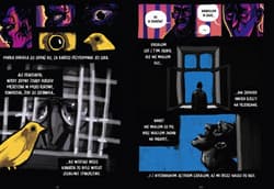 Galeria - zdjęcie nr. 5 - Czarna studnia