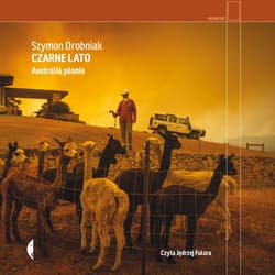 Czarne lato - audiobook - Drobniak Szymon