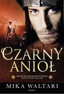 Czarny Anioł - Waltari Mika