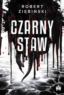 Galeria - zdjęcie nr. 2 - Czarny Staw (ilustrowane brzegi)