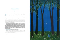Galeria - zdjęcie nr. 3 - Czarodziej osobisty