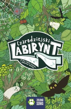 Czarodziejski labirynt